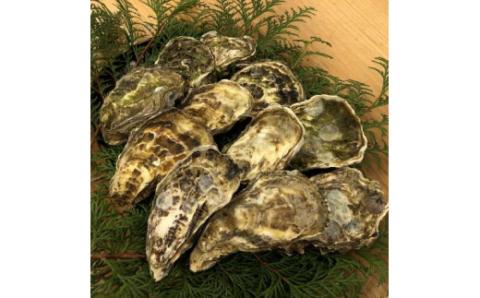 S123-001_えびすセット（活き車海老、緋扇貝、真牡蠣の詰め合わせ）