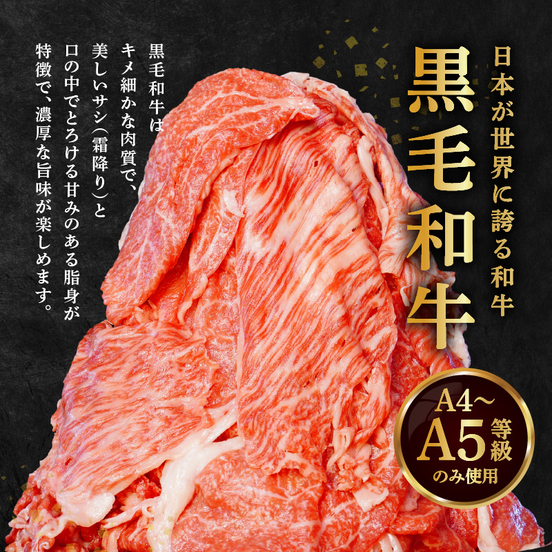 S001-001_A4～A5等級 黒毛和牛 切り落とし 1kg（500g×2P） 1kg