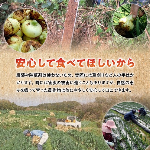 S010-077_令和8年4月出荷 訳あり新たまねぎ【先行受付】