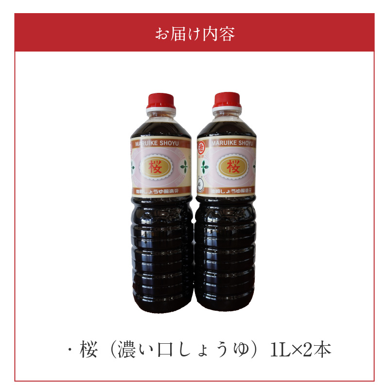 S022-005_池崎しょうゆ醸造元 大人気 濃い口しょうゆ 2本セット 2本セット（濃い口）