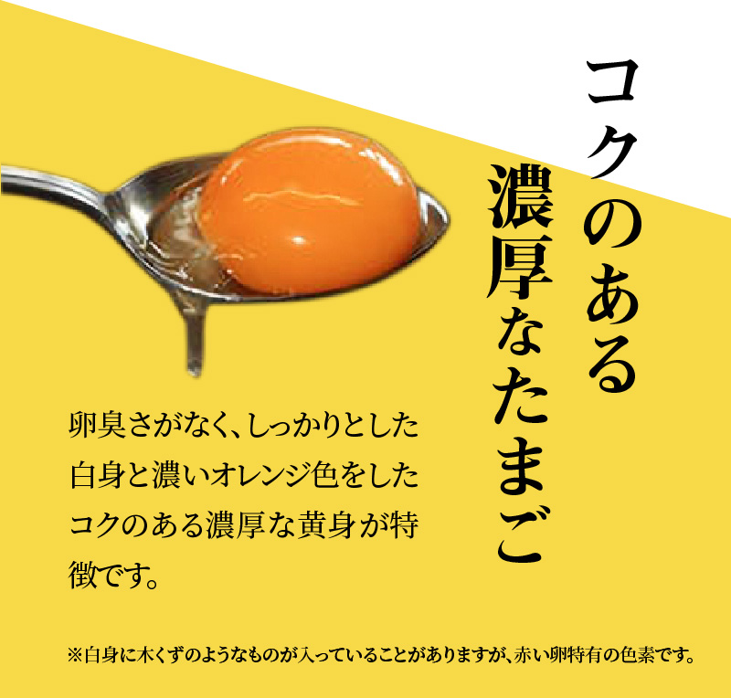 S038-T03_【定期便3回】天草 タマンゴ 6個 卵