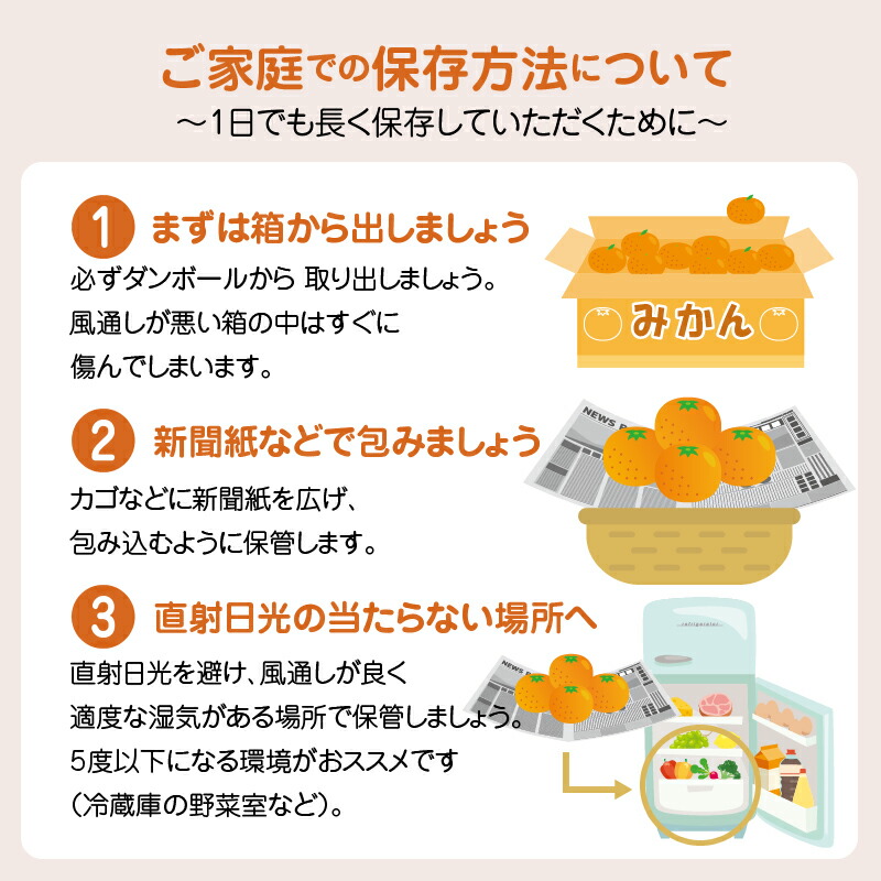 S040-010_農家の手摘み不知火 約3kg〈先行受付〉