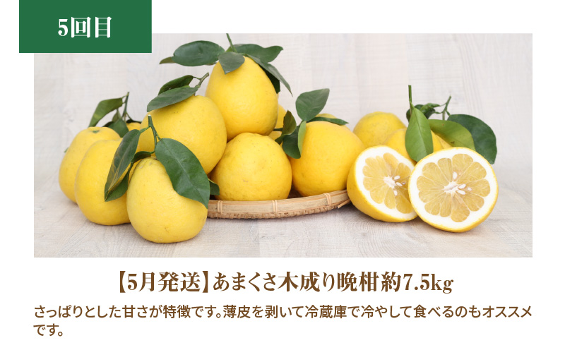S040-017_【定期便5回】厳選！天草 下浦地区の農家が愛情込めて育てた柑橘5種〈先行予約〉