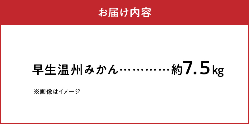 S040-021_農家の手摘み 完熟早生温州みかん 約7.5kg〈先行受付〉