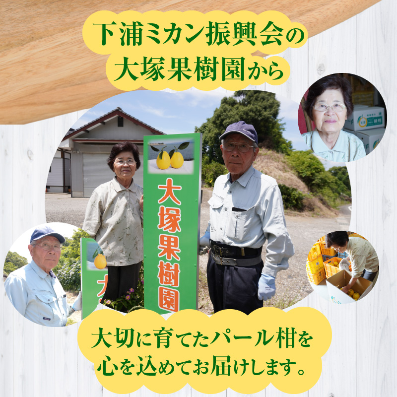 S040-022_農家の手摘み パール柑 7.5kg以上〈先行予約〉 7.5kg以上