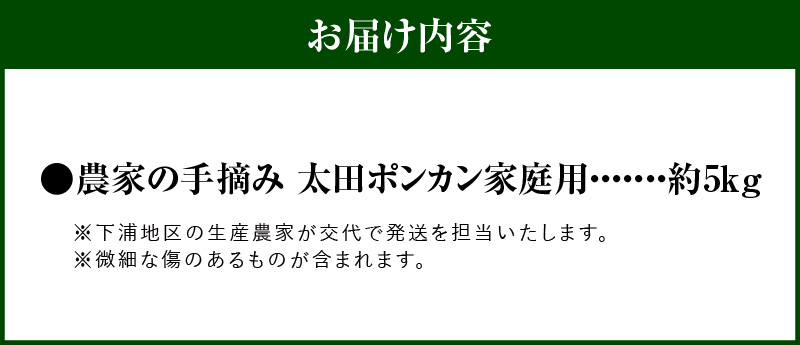 S040-027_【訳あり】農家の手摘み 太田 ポンカン 家庭用約5kg