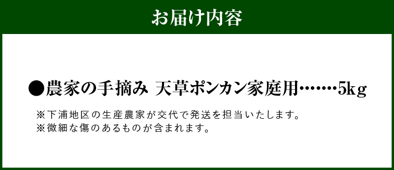 S040-028_【訳あり】農家の手摘み　天草ポンカン　家庭用　5kg