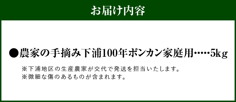 S040-029_【訳あり】農家の手摘み　下浦100年ポンカン　家庭用　5kg