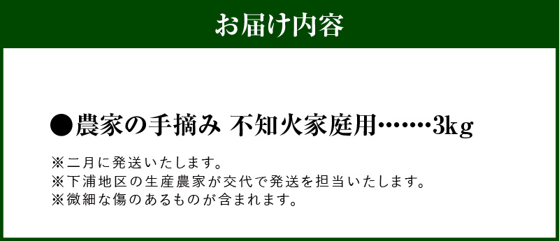 S040-030-02_【訳あり】≪2月発送≫農家の手摘み　不知火　家庭用　3kg ≪2月発送≫