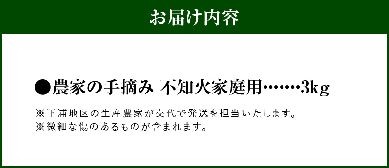 S040-030_【訳あり】農家の手摘み　不知火　家庭用　3kg ≪順次発送≫