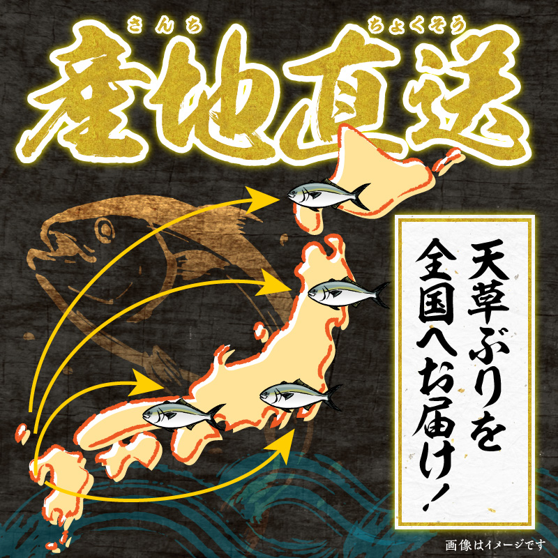 S042-003_天草 ぶりまるごと 一尾 4.5kg前後×1尾 ブリ 鰤【先行予約】