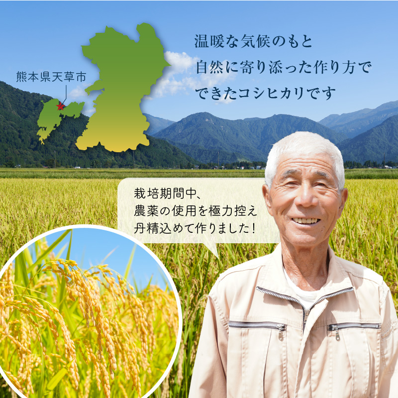 S050-008_【令和7年産】コシヒカリ 玄米 5kg