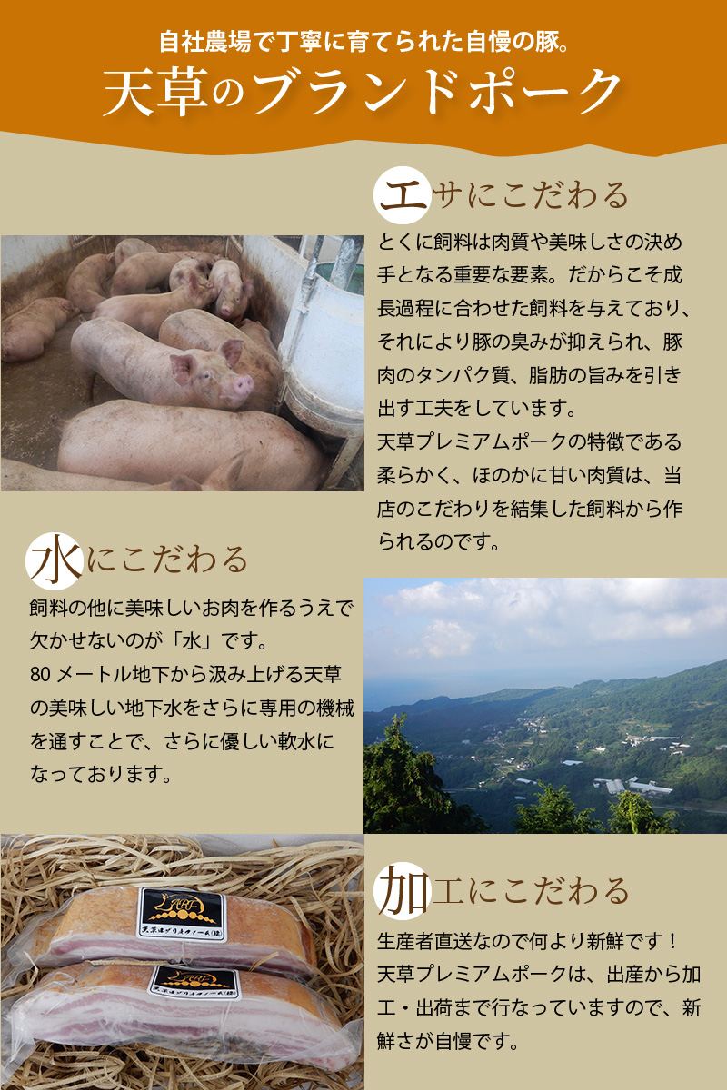 S058-018_天草プレミアムポーク よりどりセット 約1kg