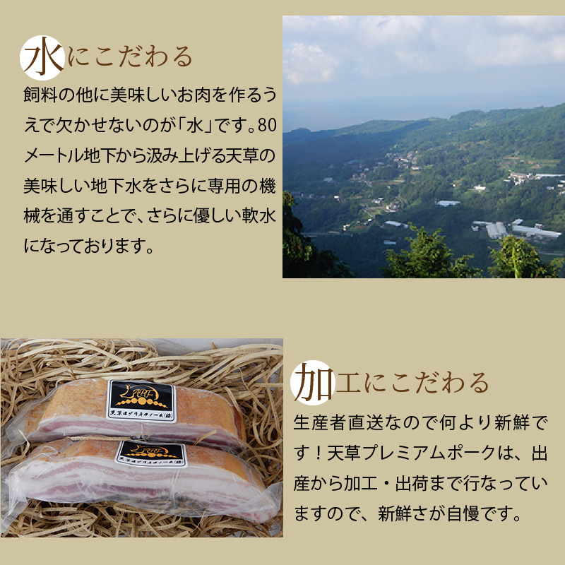S058-025_天草プレミアムポーク よりどりセット約4kg