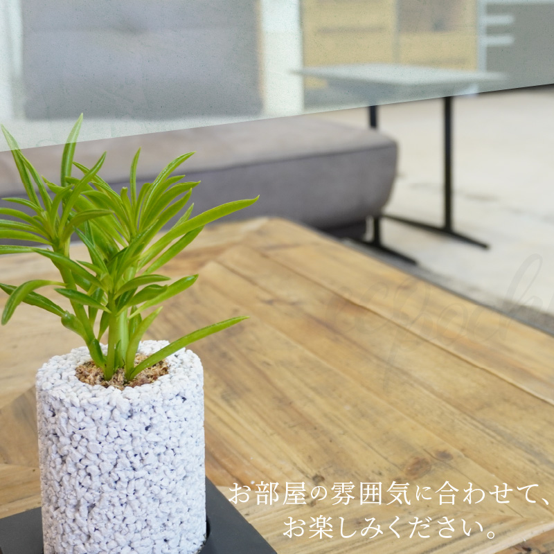 S060-110_【ふるさと納税限定】初心者の人にもお勧め！エコ・ポチ　トライアルセット