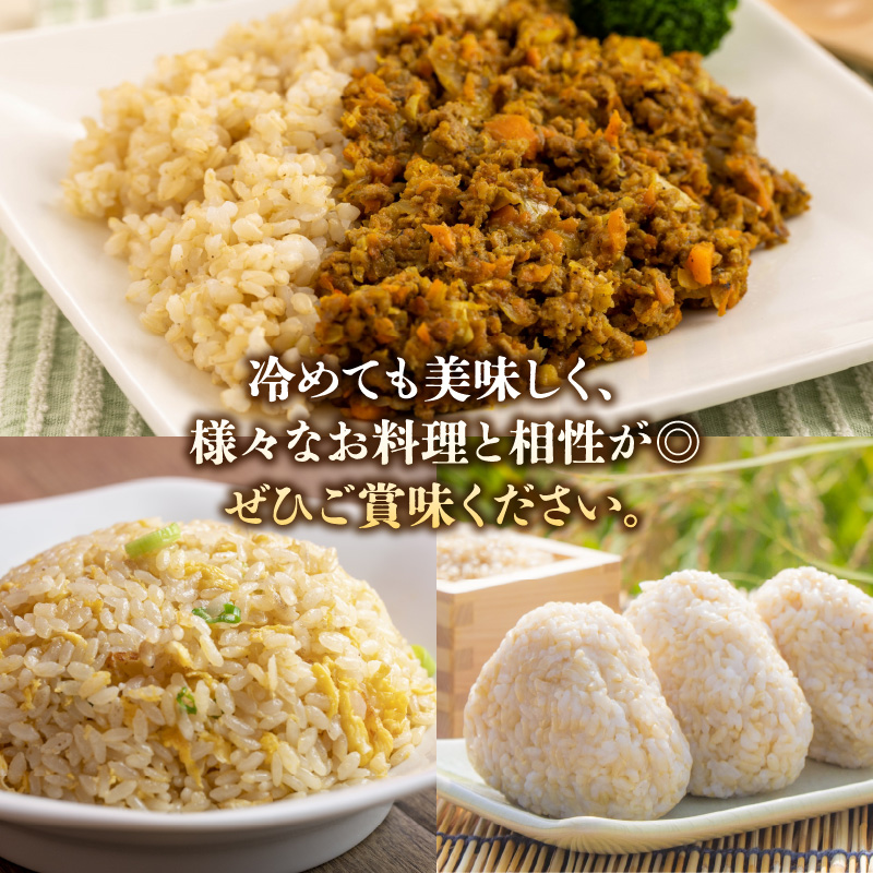 S061-T07_【3ヶ月定期便】特別栽培米 天草五ッ星米 玄米 5kg