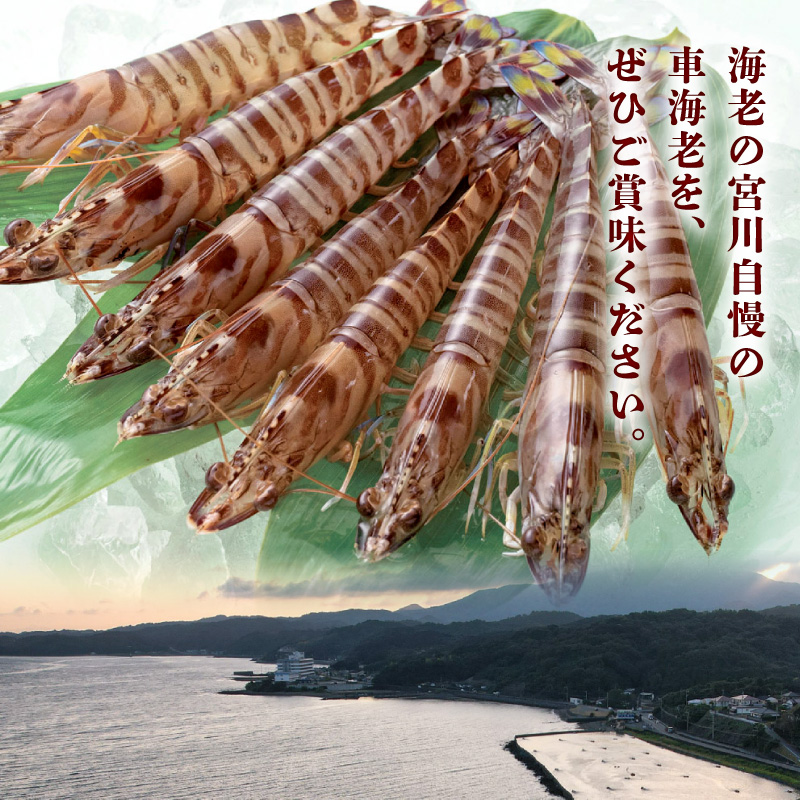 S065-006_活き〆冷凍車海老 500g