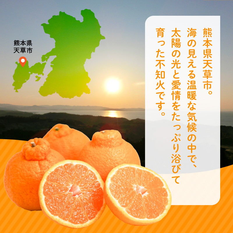 S086-004_井手尾さん家の小さい不知火 約7kg 　家庭用〈先行予約〉