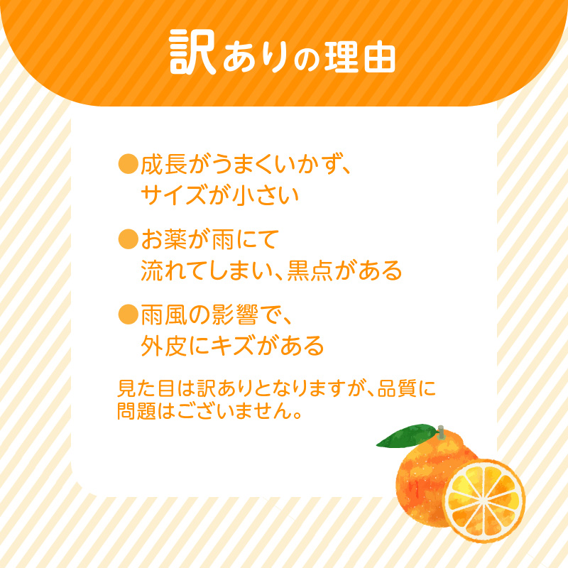 S086-007_訳あり 不知火 約 9kg 数量限定〈先行予約〉