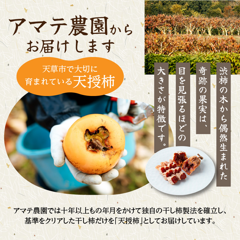 S111-005_【訳あり】和スイーツ!天授柿(干し柿)化粧箱6個入り