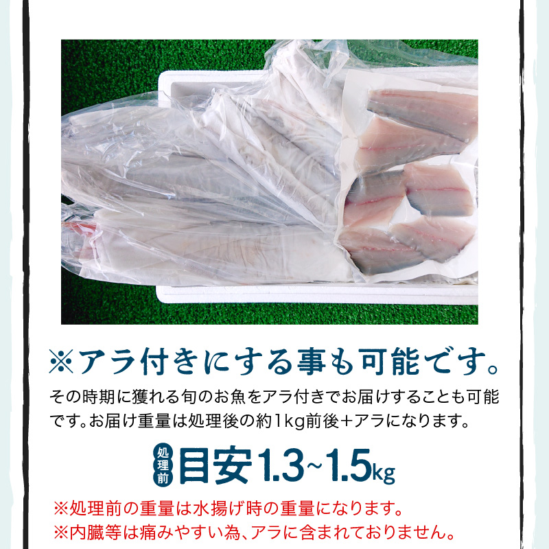 S121-001_焼き魚コース