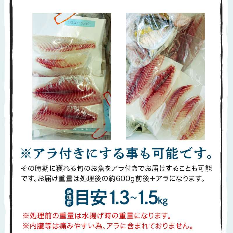 S121-T02_【隔月 6回お届け】天草天然鮮魚を直送　お刺身用柵定期便