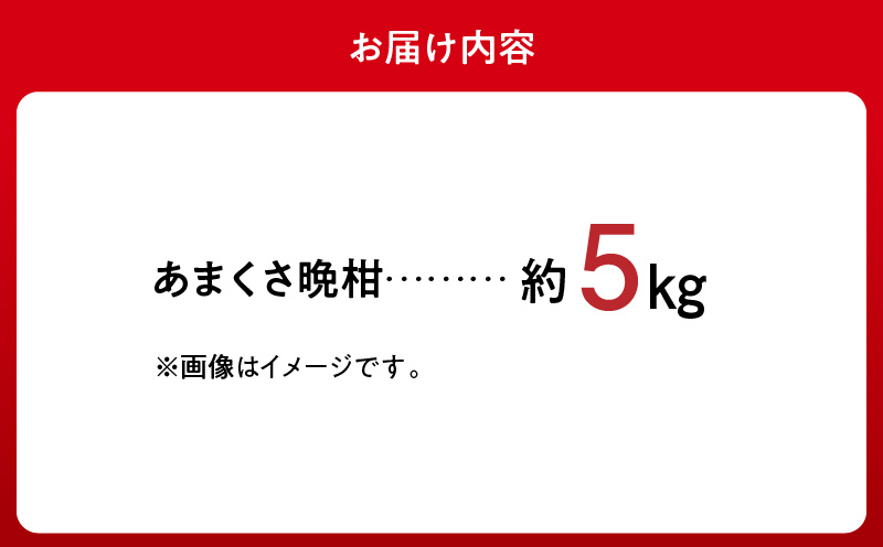 S149-003_あまくさ晩柑 約5kg【先行受付】 約5kg