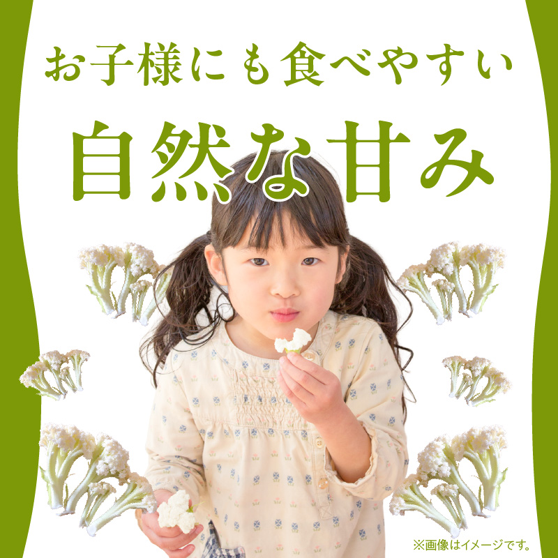 S150-006_スティックカリフラワー (天草一号）600g 600g