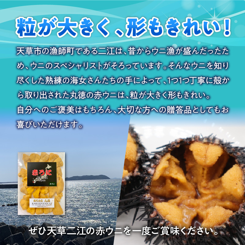 S157-006_天草二江の天然赤うに 100g 100g