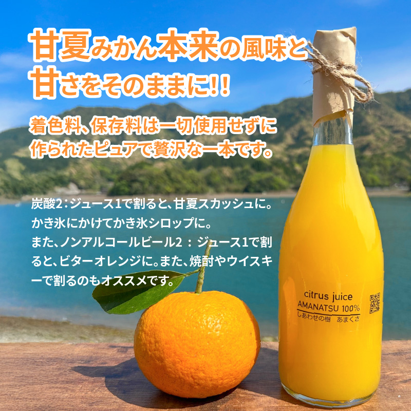 S162-002_甘夏みかんストレートジュース