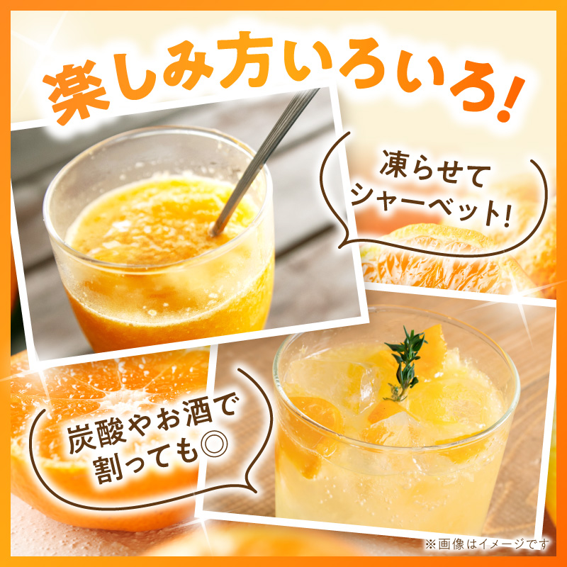 S178-005_アオハル(温州みかん)2本セット