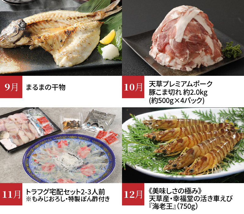 S999-T04_【定期便12回】天草市堪能12ヵ月定期便