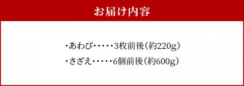 S002-017_天草産 活あわび・さざえ　浜焼きセット　　約2～3人前
