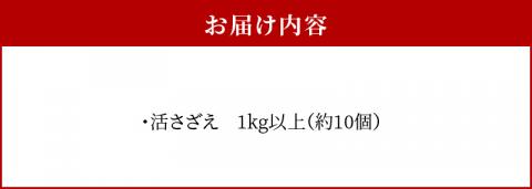 S002-018_活さざえ　1kg超え！　約3人前