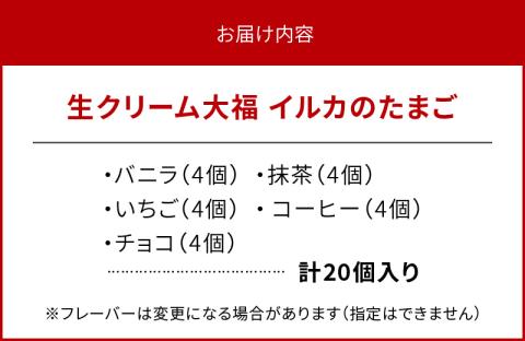 S030-006_生クリーム大福 イルカのたまご 20個入り