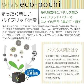 S060-086_エコ・ポチ シリンダー　黒 ガジュマル 黒