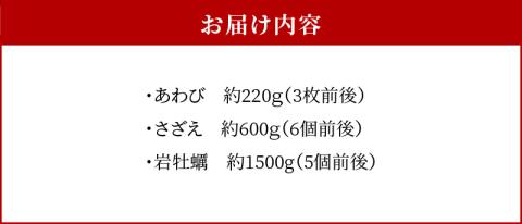 S002-020_【期間限定】天草の旬！バーベキューセット　約3人前