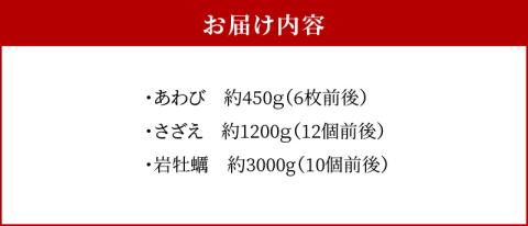 S002-021_【期間限定】大容量！天草の旬！バーベキューセット　約6人前