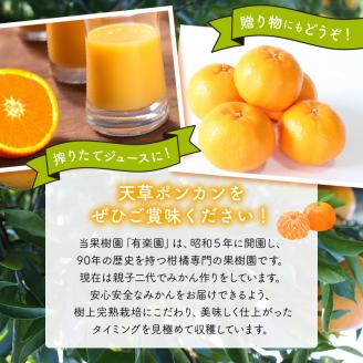 S142-001_天草ポンカン 約5kg箱【先行受付】