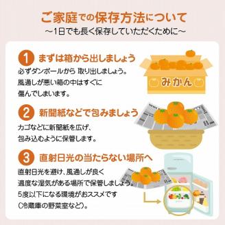 S097-002_天草市五和町産　肥の豊　約5kg〈先行受付〉