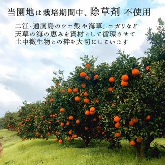 S097-005_あまくさどろっぷすのじゅーす