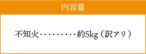 S153-002_天草産 訳あり 不知火 約5kg【先行受付】