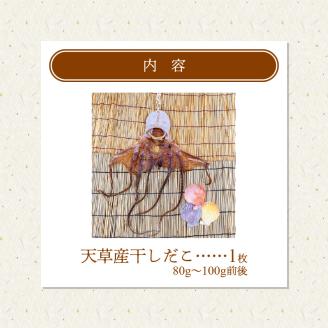 S116-001_熊本県天草産干しだこ　1枚