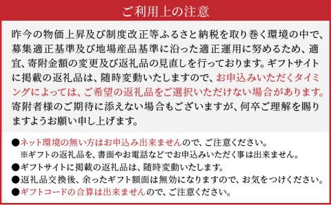 S999-100_あとからセレクト【ふるさとギフト】１００万円