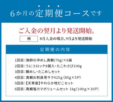 S999-T03_【定期便6回】天草の海の幸「簡単調理だけど美味い！」をお届け