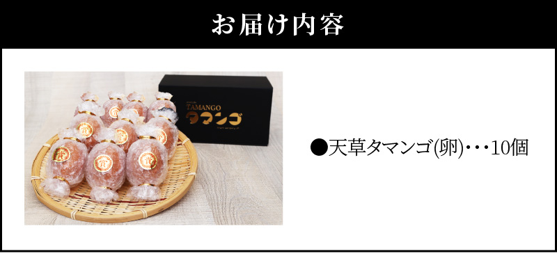 S038-004_天草 タマンゴ 10個 卵