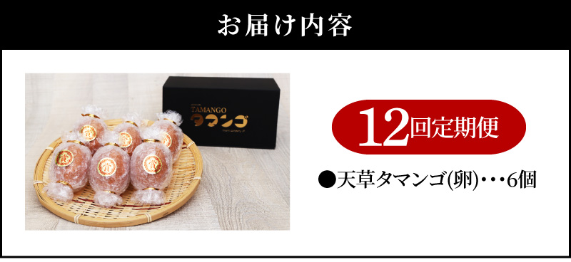 S038-T12_【定期便12回】天草 タマンゴ 6個 卵