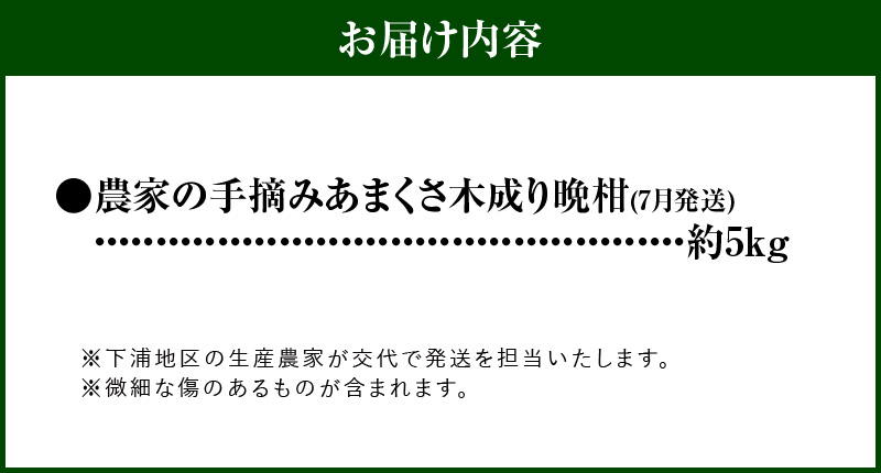 S040-032-07_≪7月発送≫農家の手摘み　あまくさ木成り晩柑　約5kg 7月発送