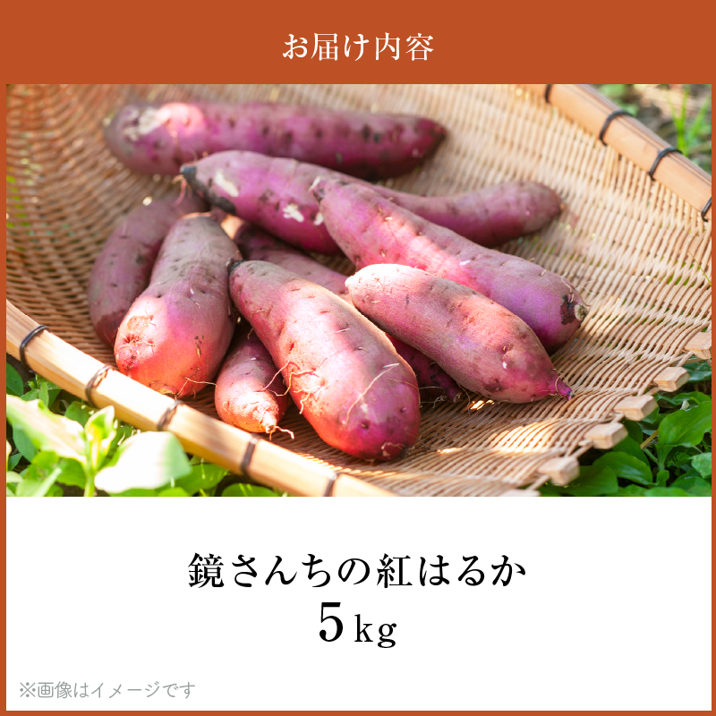 S050-010_鏡さんちの紅はるか 5kg