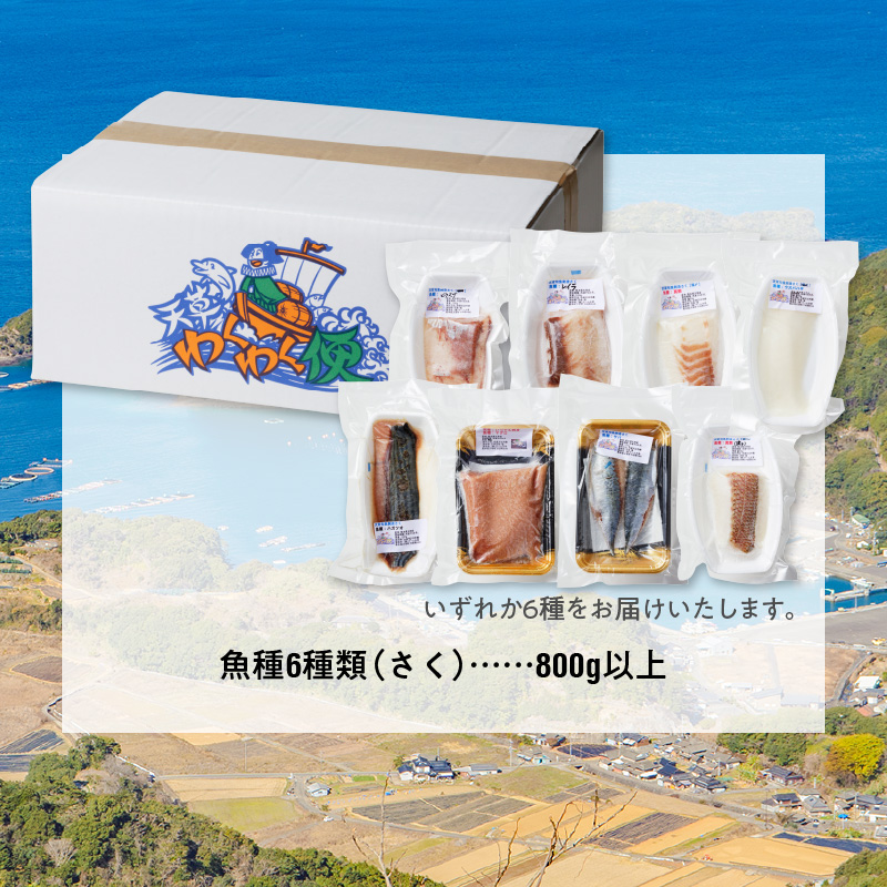 S059-015_天草わくわく旬魚刺身づくし（さく）8～9人前